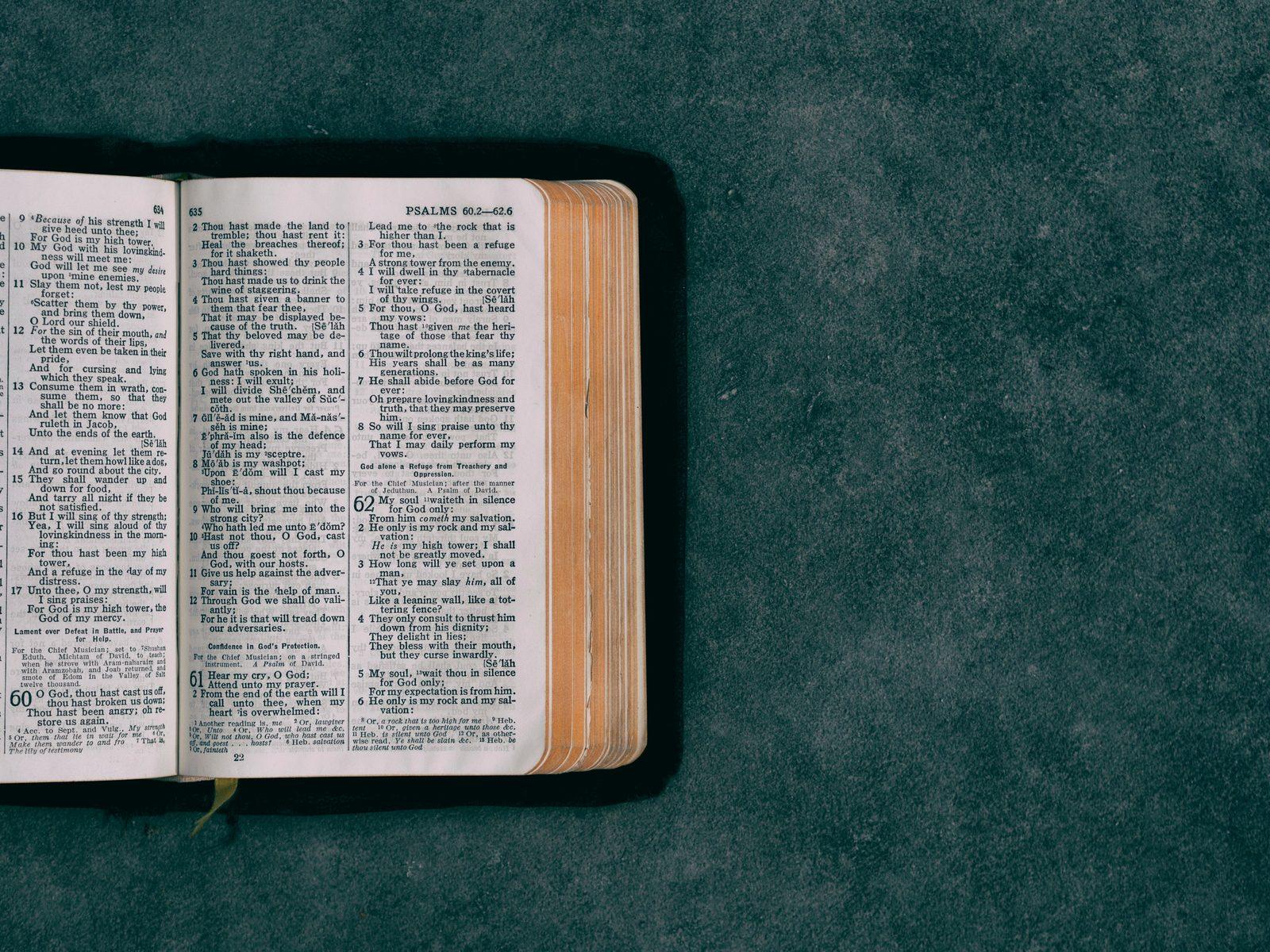 A worn, well-read Bible open on a green surface